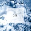 CSE